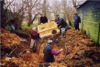 Lowering one of the chambers into position